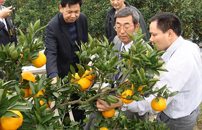 成功案例